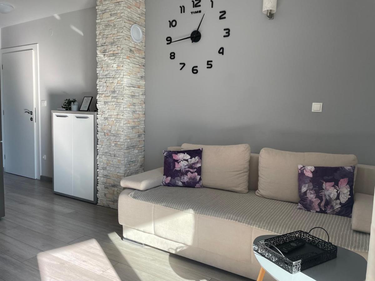 Apartments Silver Beauty ロゴズニッツァ エクステリア 写真