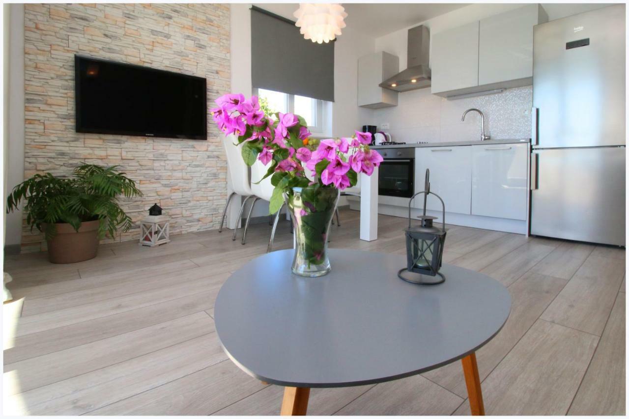 Apartments Silver Beauty ロゴズニッツァ エクステリア 写真
